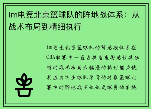 im电竞北京篮球队的阵地战体系：从战术布局到精细执行