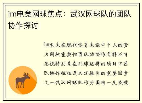 im电竞网球焦点：武汉网球队的团队协作探讨